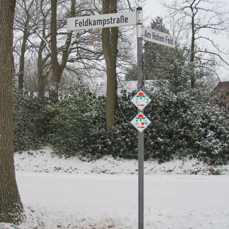 Am Hohen Feld